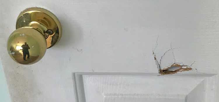 interior door hole repair New Port