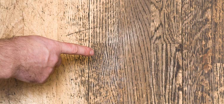 Wood Door Scratch Repair in New Port